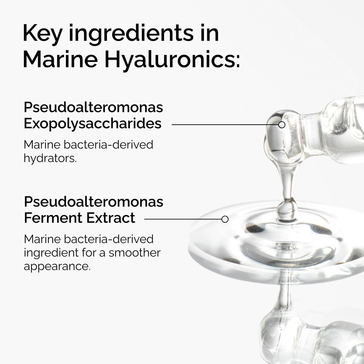 marine-hyaluronics-f1 FY25-D41247-ORD-Web-PDP-Marine-Hya-1x1-EN-2a.jpg