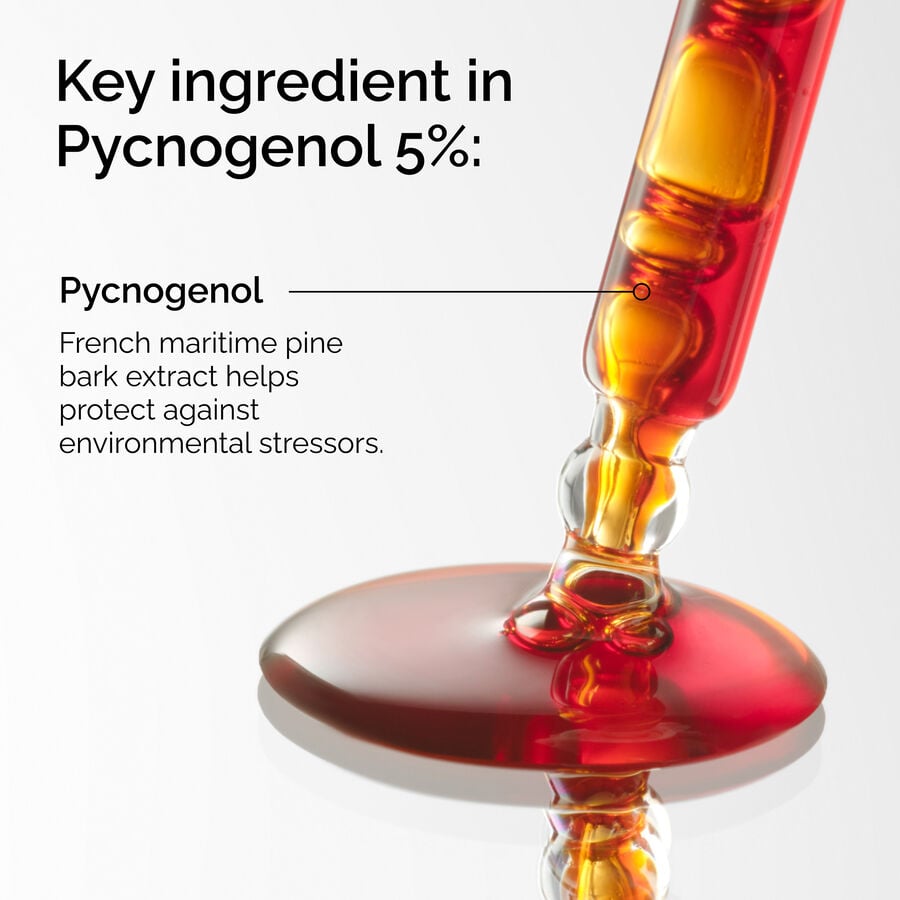 pycnogenol-5-p2 FY25-D41247-ORD-Web-PDP-Pyc-5pct-1x1-EN-2a.jpg
