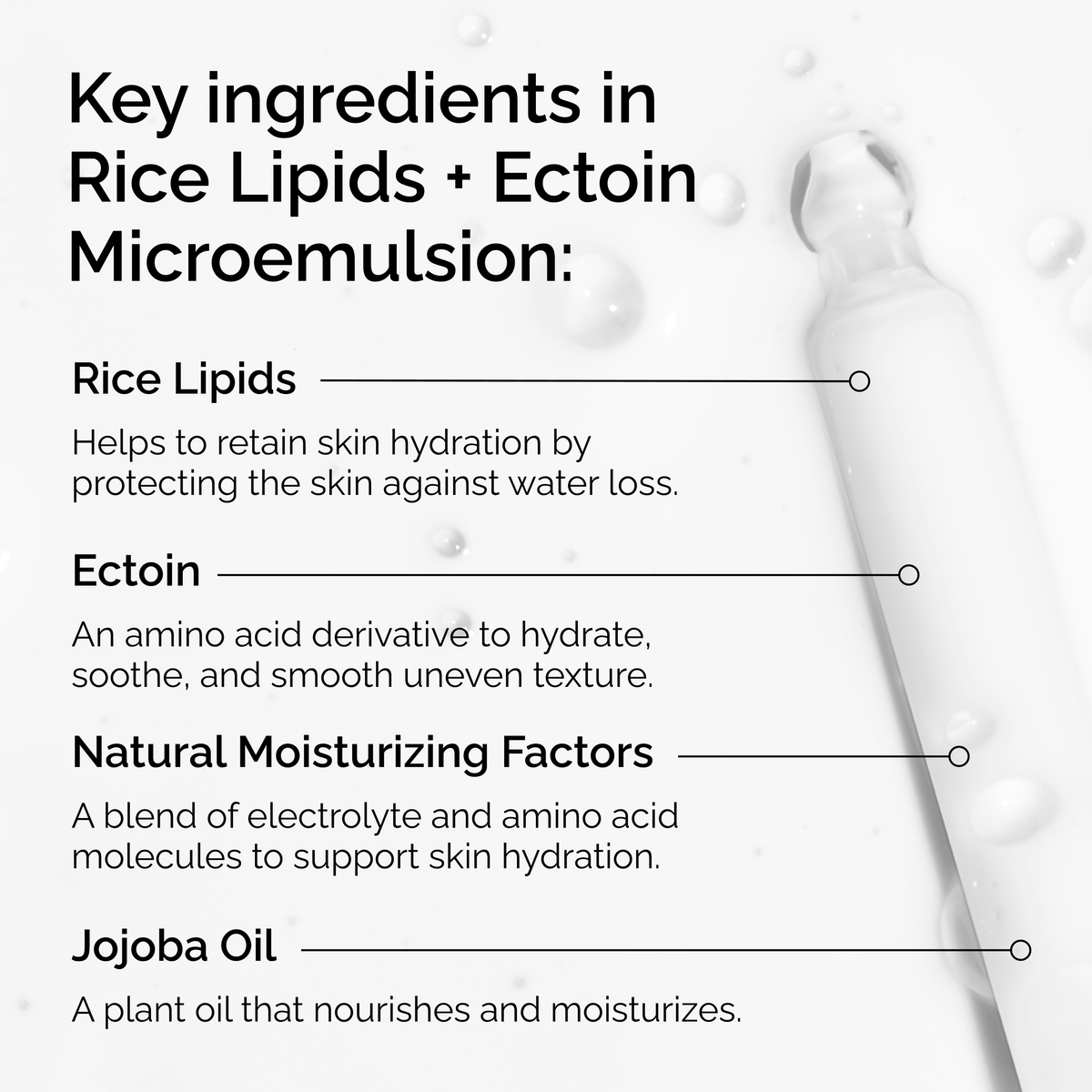 rice-lipids-ectoin-microemulsion-l1 ord-rice-lipids-ectoin-microemulsion-key-ingredients.png