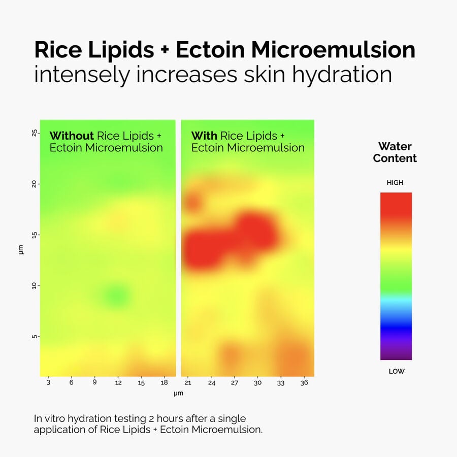 rice-lipids-ectoin-microemulsion-l1 ord-rice-lipids-ectoin-microemulsion-thermal-before-after.jpg